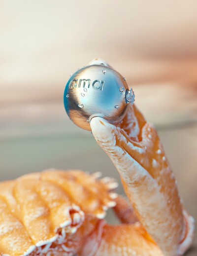 Ada Sokół - © Developments