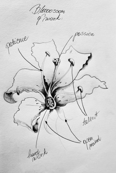 Ada Sokół - © Developments