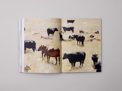 Benjamin Grillon - © Developments