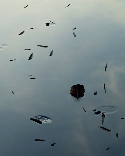 Colors And The Kids - © Developments