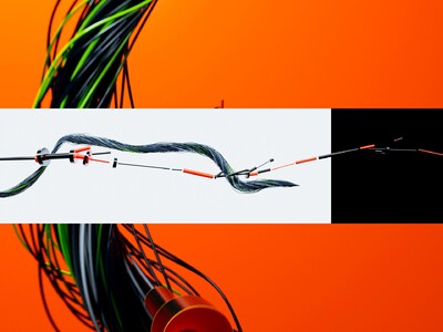 Colors And The Kids - © Developments