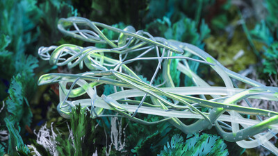 International Magic - © Developments