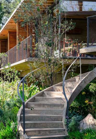 Rozana Montiel - © Developments