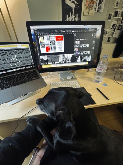 Sarah Bassett - © Developments