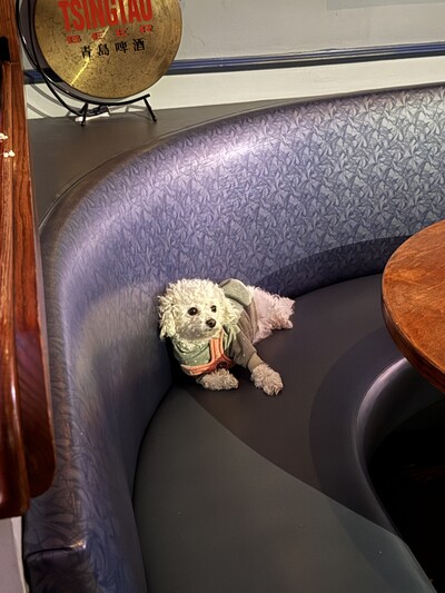 Special Offer - © Developments