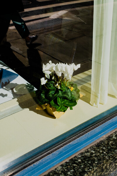 Special Offer - © Developments